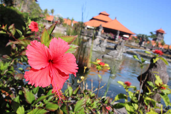 ヌサドゥアはリゾートホテルがあるエリア