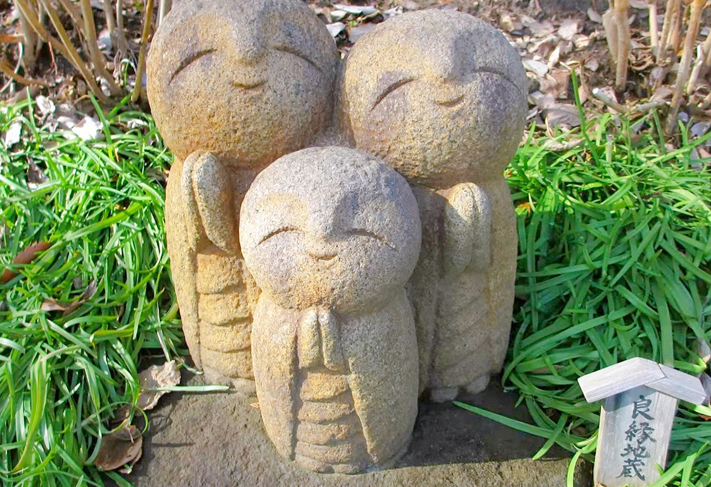 鎌倉 長谷寺の見どころ 観光情報 あじさい 和み地蔵 紅葉ライトアップ 名物カレーも登場