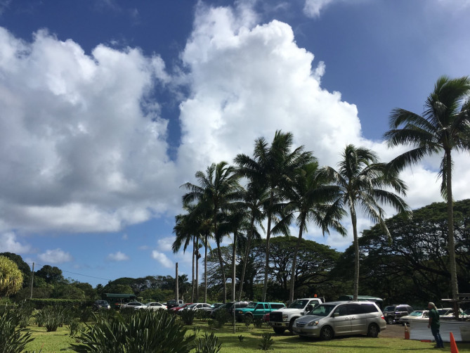 ワールドショッピングプラザ