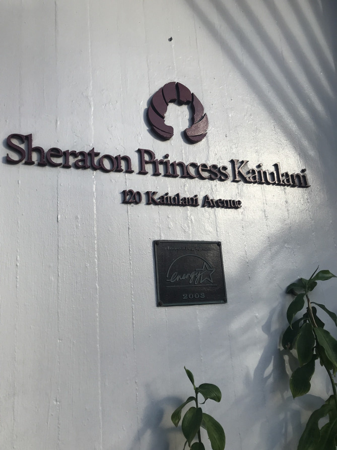 プリンセスカイウラニのエントランス・オリジナル画像