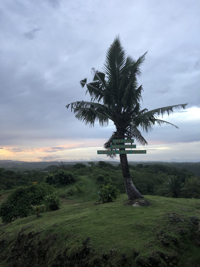 ハマモトガーデン