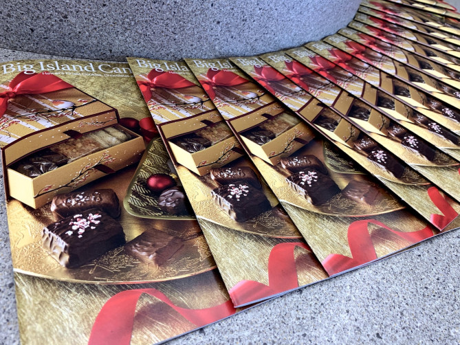 ビッグアイランド・キャンディーズとは