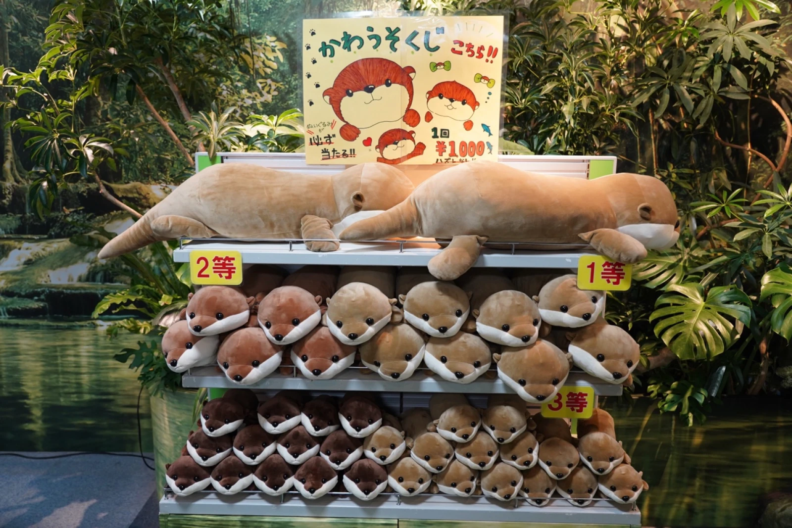 新江ノ島水族館(えのすい)お土産:かわうそくじ ミルミ mirumi お出かけ・旅行メディア