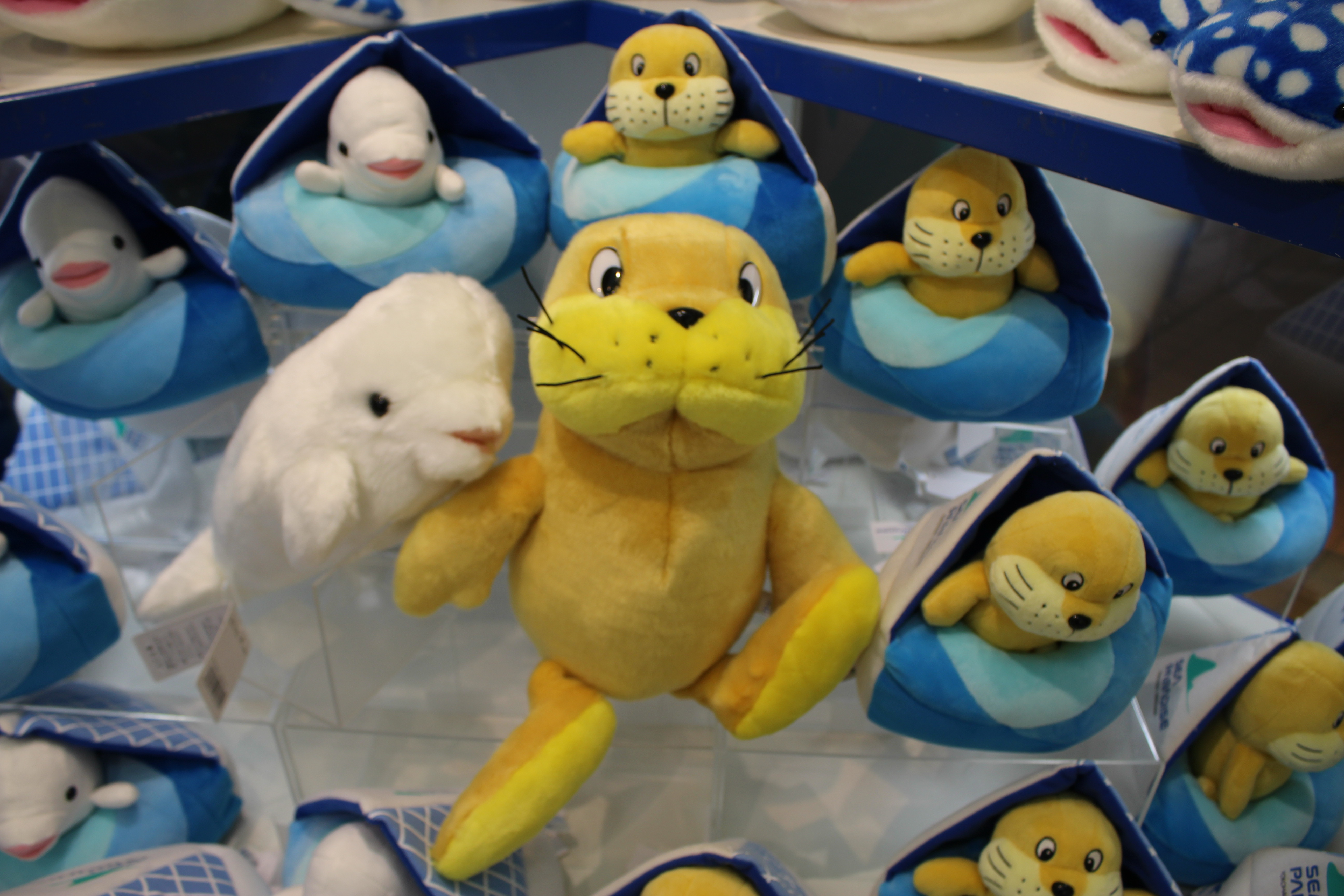水族館 八景島 かわいい動物ぬいぐるみセット 12個 水族館 八景島 かわいい動物ぬいぐるみセット 12個