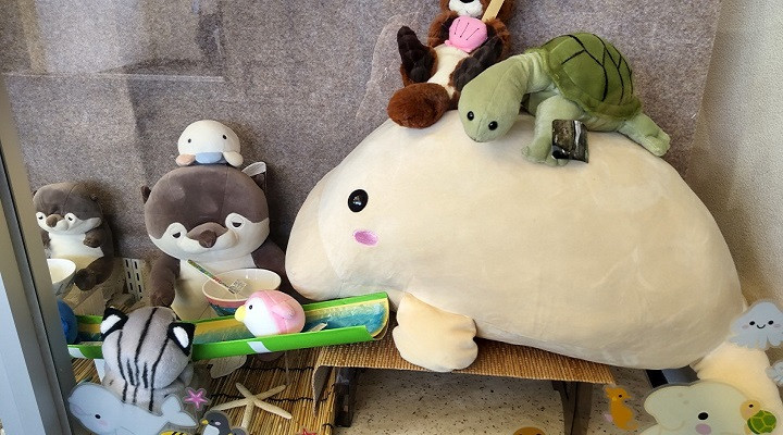 2023】鳥羽水族館のお土産12種厳選まとめ！ラッコやジュゴンも